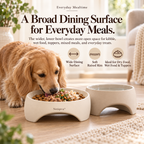 Noriqeva™ ArchNest Sculpted Pet Dining Pair