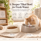 Noriqeva™ SwayTilt Pet Dining Pair