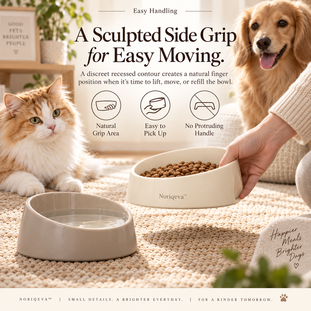 Noriqeva™ SwayTilt Pet Dining Pair