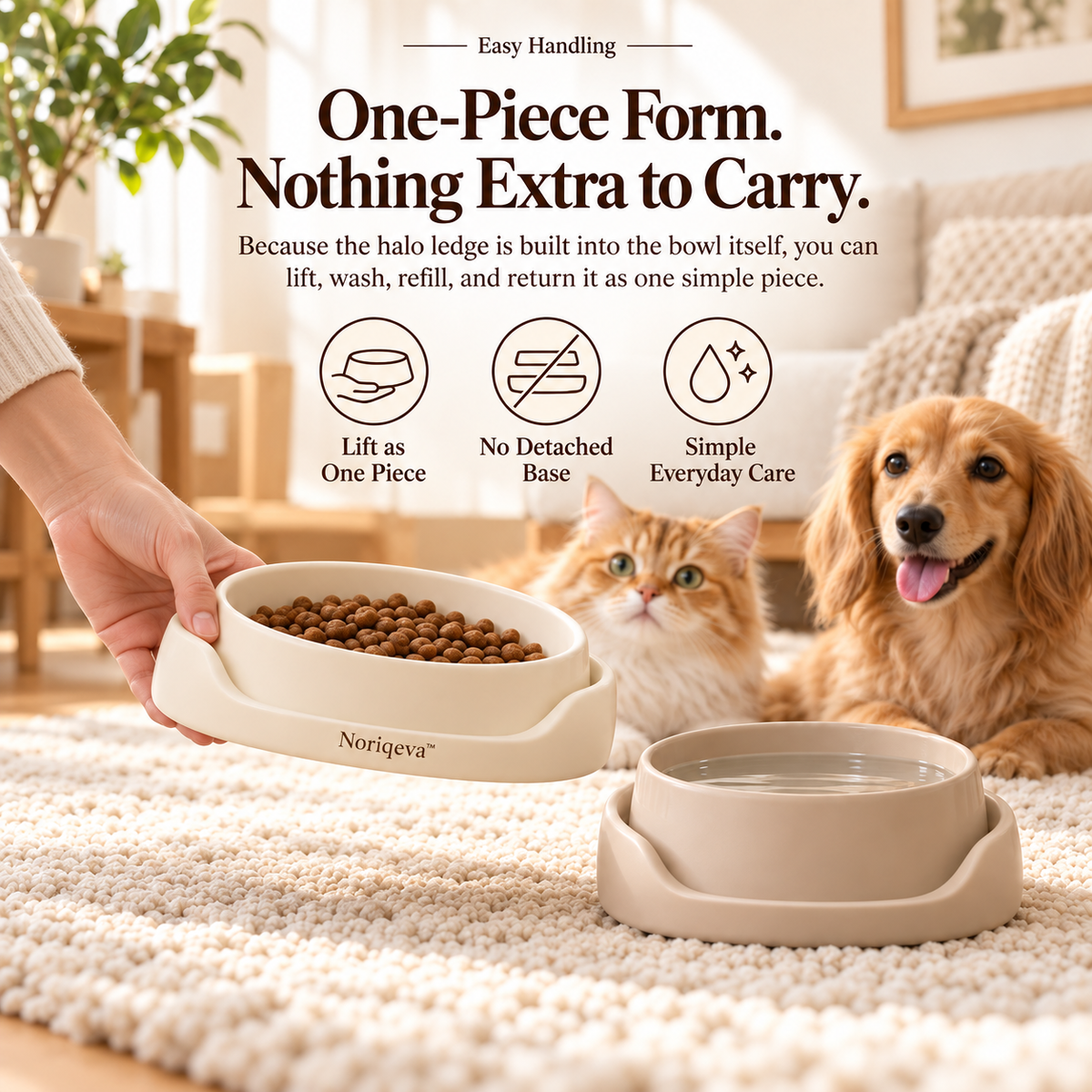 Noriqeva™ HaloCove Pet Dining Pair