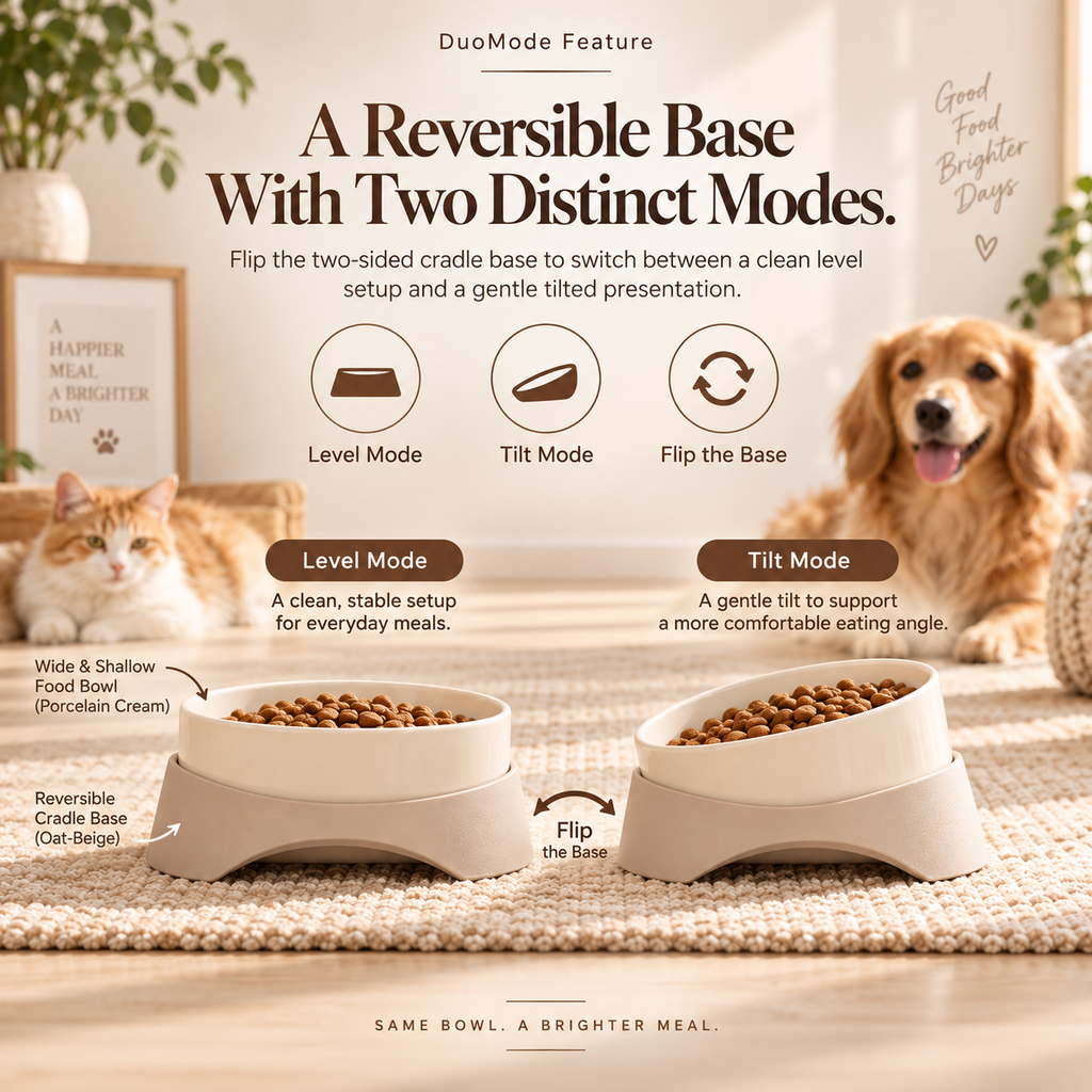 Noriqeva™ DuoMode Reversible Pet Dining Pair
