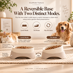 Noriqeva™ DuoMode Reversible Pet Dining Pair