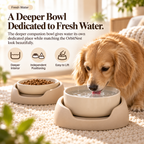Noriqeva™ OrbitNest Adjustable Pet Dining Pair