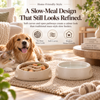 Noriqeva™ RipplePath Slow-Meal Pet Dining Pair