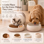 Noriqeva™ PetalPocket Two-Zone Pet Dining Pair