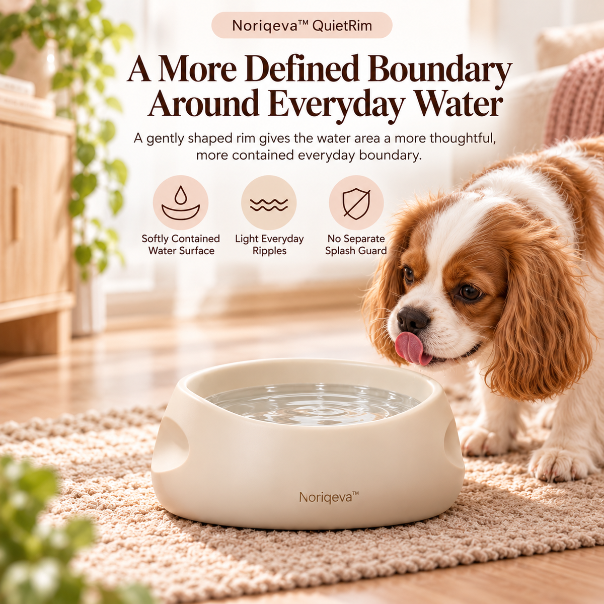 Noriqeva™ QuietRim Contour Pet Dining Pair