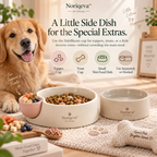 Noriqeva™ SideBloom Dockable Pet Dining Trio