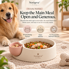 Noriqeva™ SideBloom Dockable Pet Dining Trio
