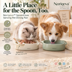 Noriqeva™ SpoonCove Serving Pet Dining Pair