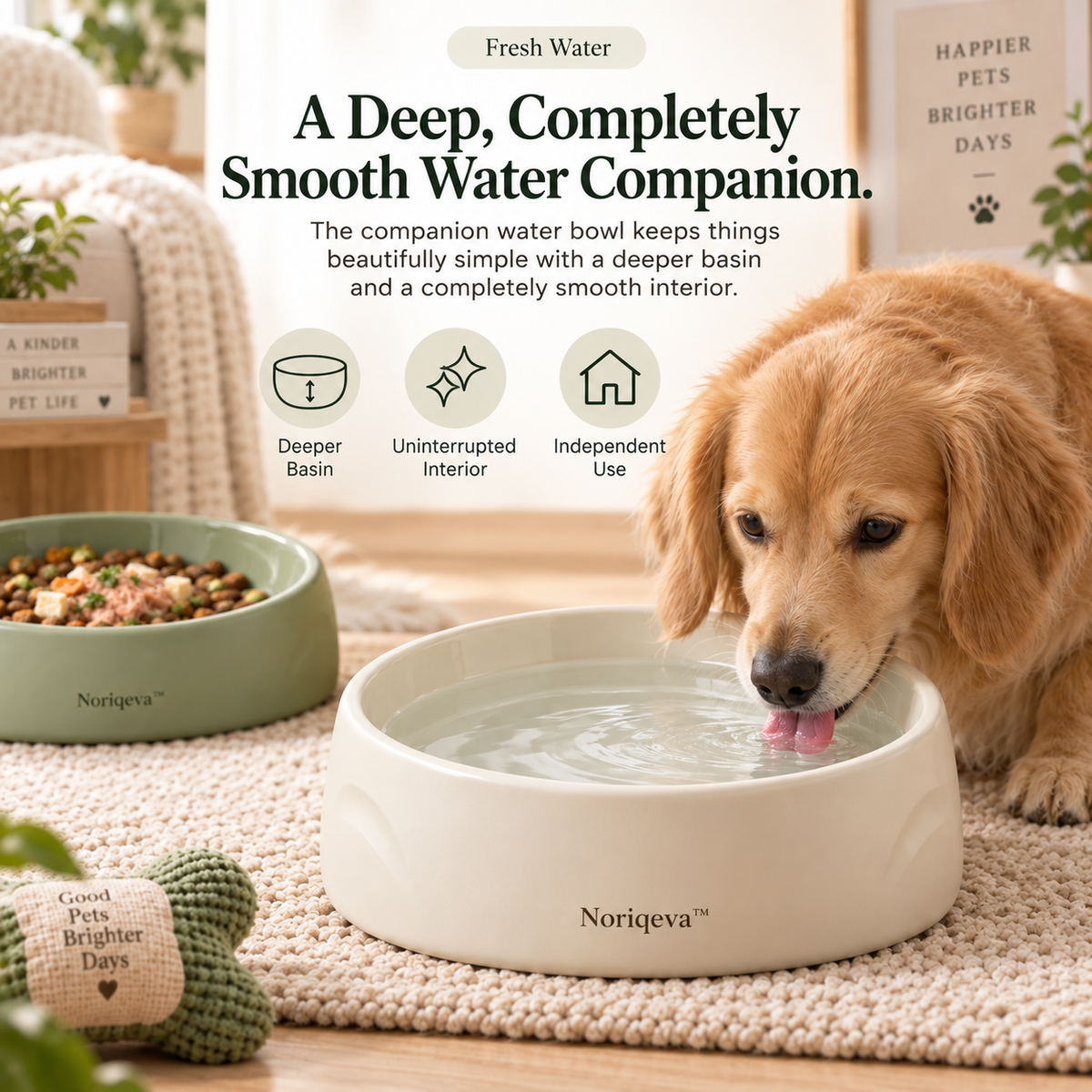 Noriqeva™ BlendCove Mix-Ready Pet Dining Pair